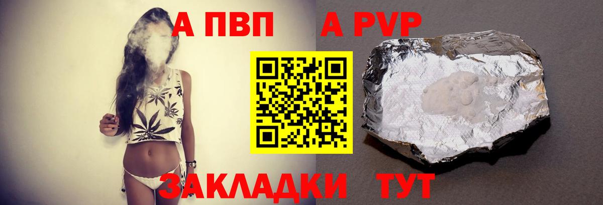 A PVP СК Новочеркасск