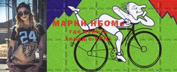 соль ск Кулебаки
