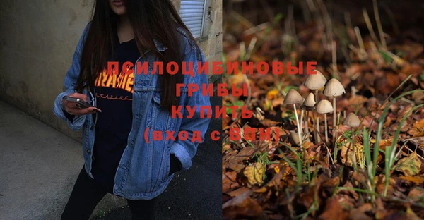 герыч Заводоуковск