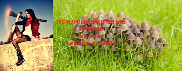 2c-b Заволжье