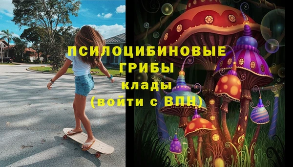2c-b Заволжье