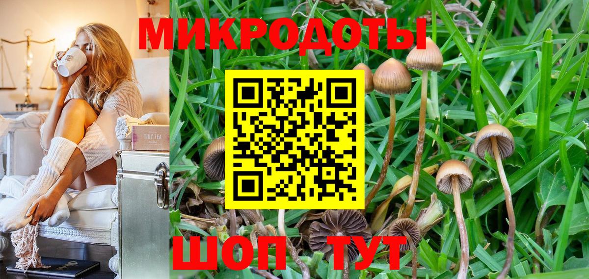 Галлюциногенные грибы мухоморы Новочеркасск